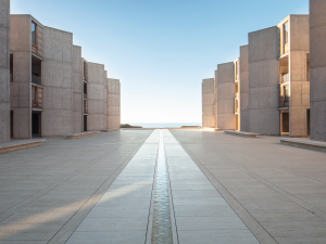 Salk Institute