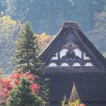 Cottage And Rice Field In Small Village Shirakawa Go Japan. Autu